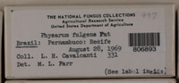 Image Associated With the Occurence